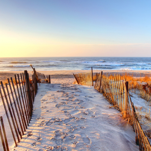 Ponquogue