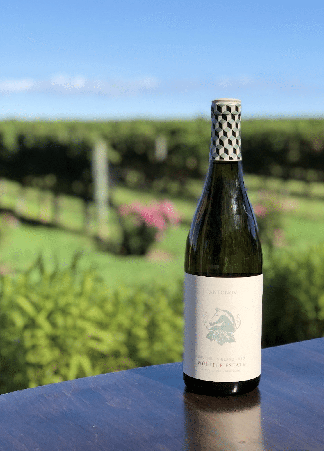 World Class Wines of New York – Wölffer Estate Vineyard Wine Pairing Dinner wine bottle with vineyard in the distance